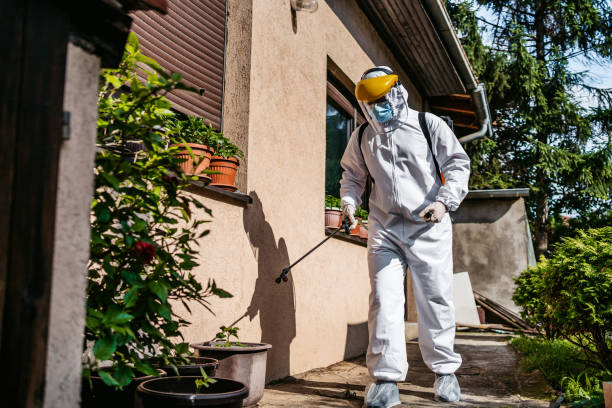 Best Wasp Removal Services  in Colfax, IL