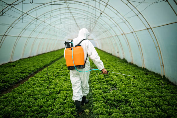 Best Pest Control for Homes  in Colfax, IL