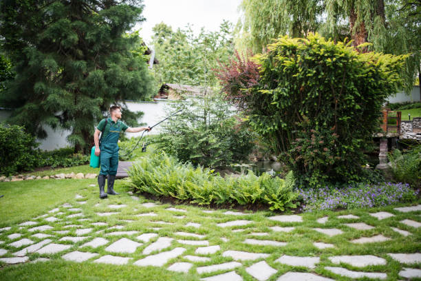 Best Residential Pest Control  in Colfax, IL