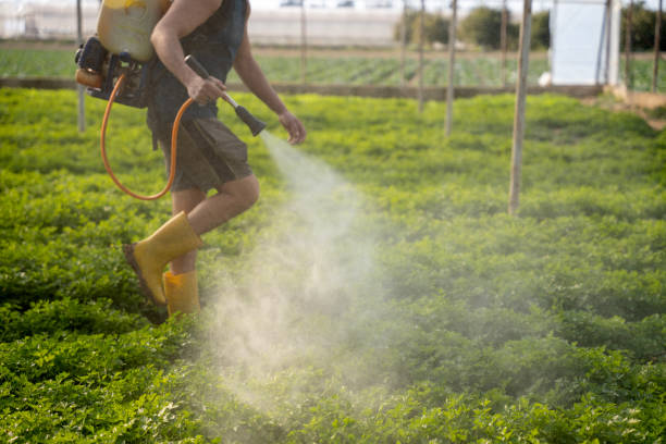Best Best Pest Control Companies  in Colfax, IL