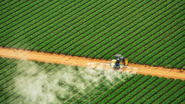 Best Commercial Pest Control Services  in Colfax, IL