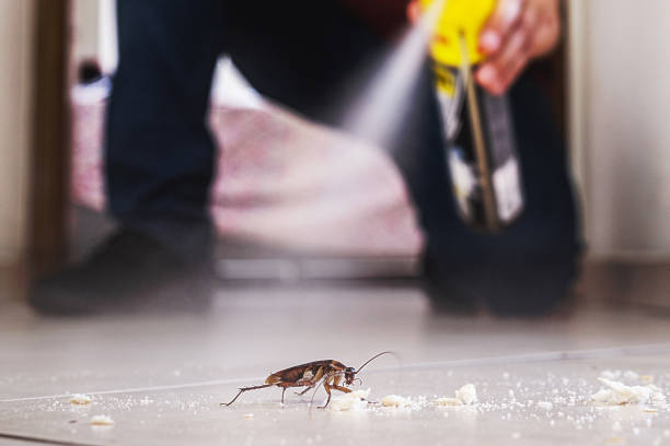 Best Pest Removal Services  in Colfax, IL