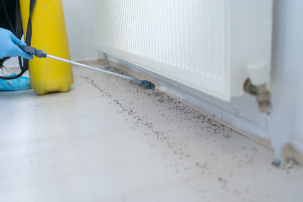 Best Cockroach Control Services  in Colfax, IL