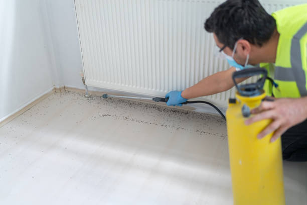 Best Flea Control Services  in Colfax, IL