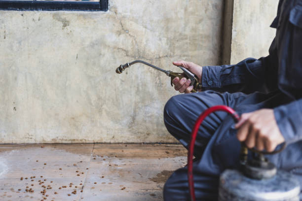 Best Mosquito Control Services  in Colfax, IL